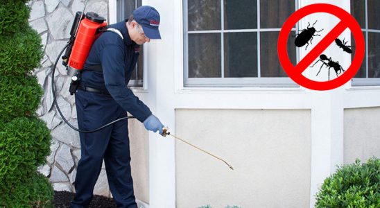 İnönü Dezenfeksiyon böcek ilaçlama ve haşere kontrolü — ilaclama-tr.com